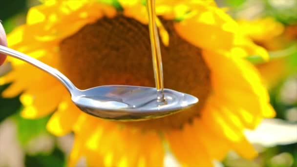 Sunflower oil in the field. Selective focus. — Stock Video