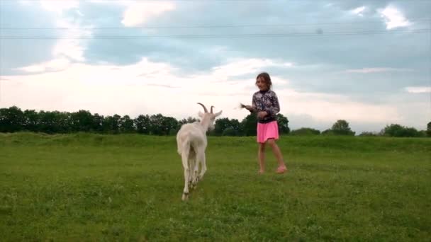 Una bambina nutre una capra d'erba. Focus selettivo. — Video Stock