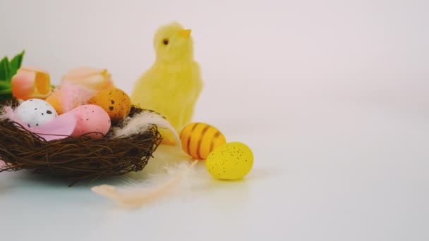 Beautiful Easter background with eggs. Selective focus. — Stock Video