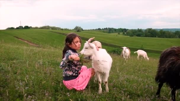 Een meisje voedt een geit met gras. Selectieve focus. — Stockvideo