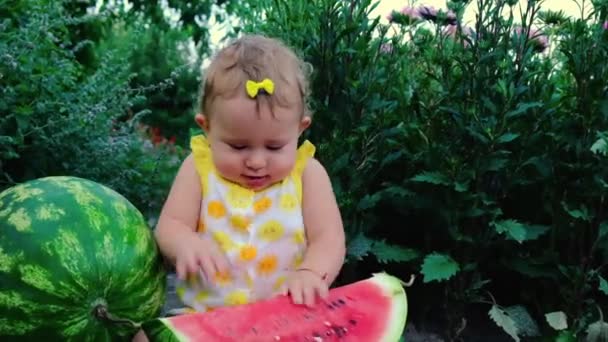 Dziewczynka je arbuza latem. Skupienie selektywne. — Wideo stockowe