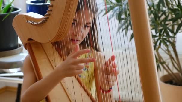 Barnet spelar harpa. Selektiv inriktning. — Stockvideo