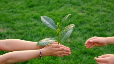 Tree children protect nature with love. Selective focus.