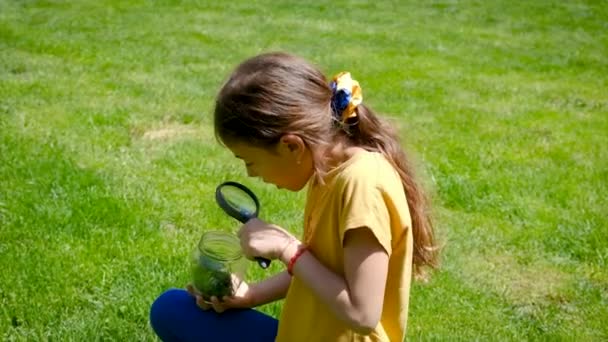 Il bambino esplora la natura con una lente d'ingrandimento. Focus selettivo. — Video Stock