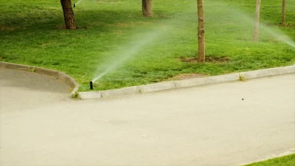 Watering the grass in the park. Selective focus. — Stock videók