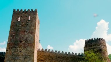 Ananuri Kalesi Georgia Tiflis yazın. Seçici odak.