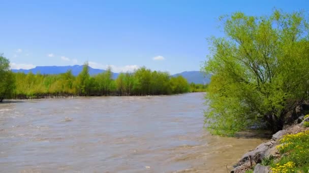 Річка Джорджії Вид Гір Вибіркове Фокусування Природа — стокове відео