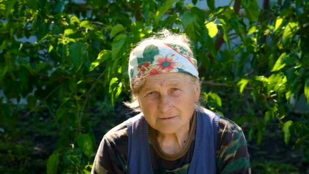 Old Woman Portrait Looks Selective Focus Nature — Stock Video