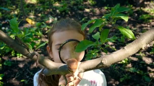Ребенок Изучает Природу Смотрит Улитку Выборочный Фокус Kid — стоковое видео