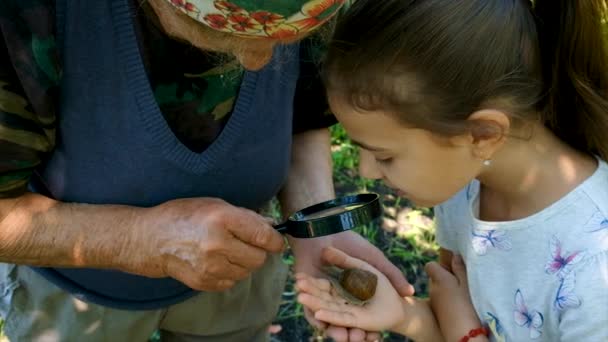 Γιαγιά Και Εγγονή Κοιτούν Σαλιγκάρι Επιλεκτική Εστίαση Παιδί — Αρχείο Βίντεο