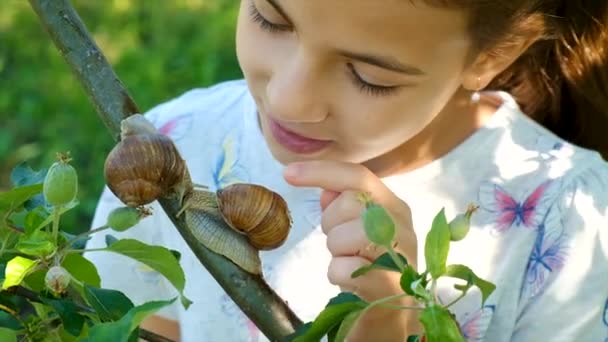孩子们研究自然 看看蜗牛 有选择的重点 — 图库视频影像