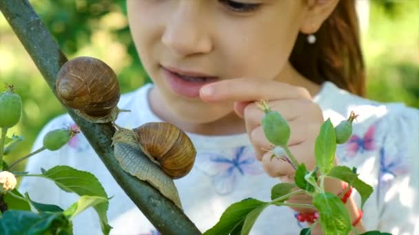 Niño Estudia Naturaleza Mira Caracol Enfoque Selectivo Niño — Vídeos de Stock