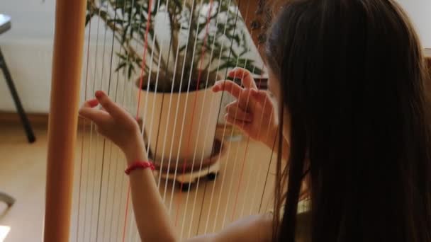 Barnet Spelar Harpa Selektivt Fokus Grabben — Stockvideo
