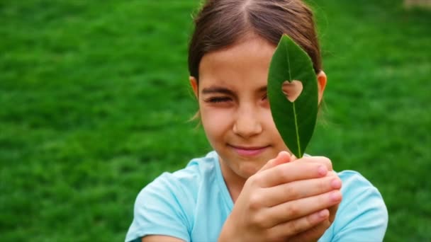 Tree Children Protect Nature Love Selective Focus Kid — Stok video