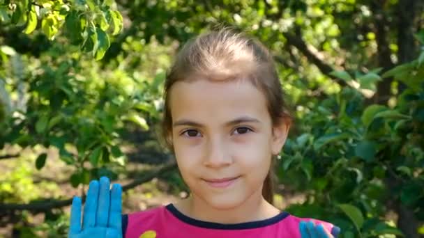 Ukrainian Flag Drawn Child Hands Selective Focus Summer — Stock Video