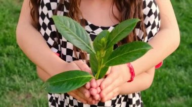 Tree children protect nature with love. Selective focus. Kid.