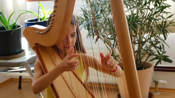 Child Plays Harp Selective Focus Kid — Stok video