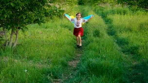 Ukrayna Bayrağı Taşıyan Vatansever Bir Çocuk Seçici Odaklanma Çocuk — Stok video