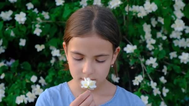 Παιδί Είναι Αλλεργικό Στα Λουλούδια Επιλεκτική Εστίαση Παιδί — Αρχείο Βίντεο