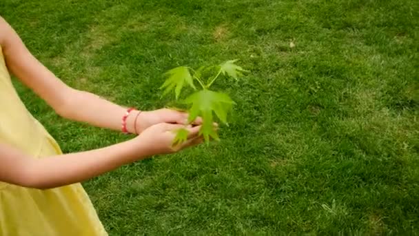 Les Enfants Des Arbres Protègent Nature Avec Amour Concentration Sélective — Video