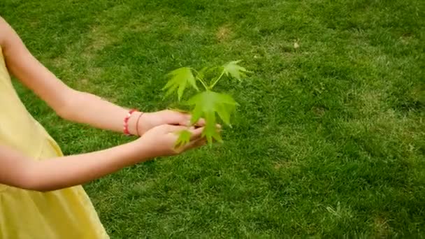 Tree Children Protect Nature Love Selective Focus Kid — Stockvideo