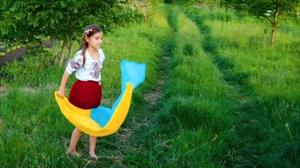 Патріотичне Дитя Українським Прапором Вибіркове Фокусування Малюк — стокове відео