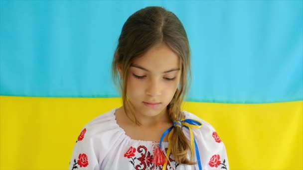 Nakışlı Gömlekli Ukraynalı Bir Vatansever Çocuk Seçici Odaklanma Kız — Stok video
