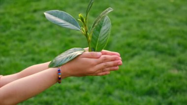 Tree children protect nature with love. Selective focus. Kid.