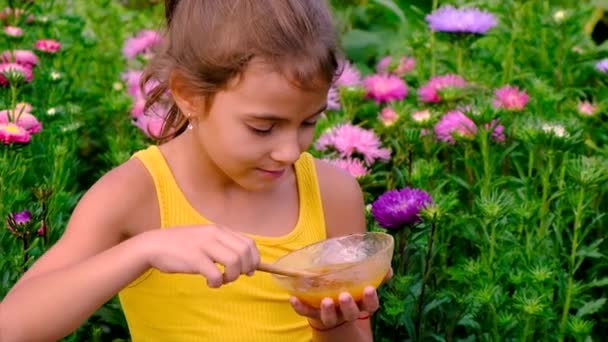 Criança Come Mel Jardim Foco Seletivo Natureza — Vídeo de Stock