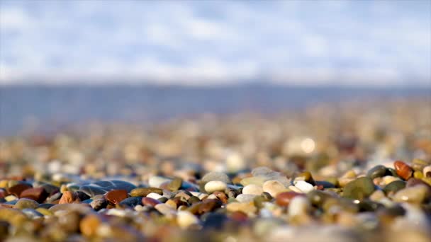 Pebble Stones Beach Selective Focus Nature — Stock Video