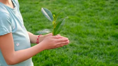 Tree children protect nature with love. Selective focus. Kid.