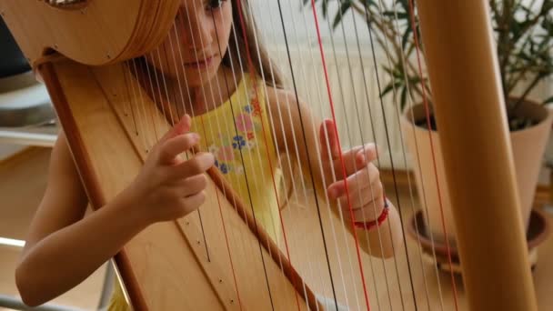 Child Plays Harp Selective Focus Kid — Stockvideo
