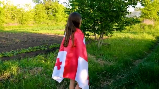 Niño Patriota Con Bandera Georgiana Enfoque Selectivo Naturaleza — Vídeos de Stock