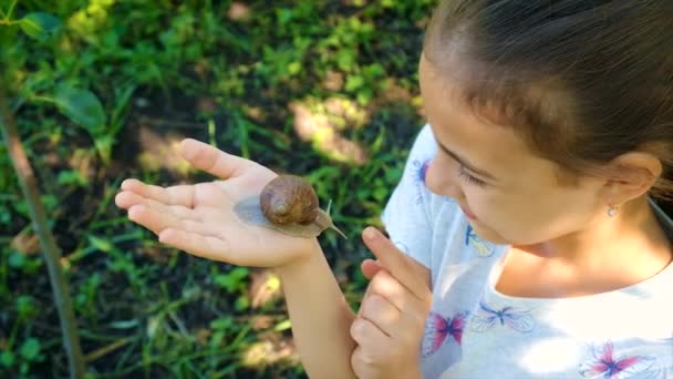 Barnet Studerar Naturen Och Tittar Snigeln Selektivt Fokus Grabben — Stockvideo