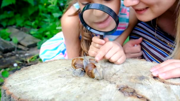 Ребенок Осматривает Улиток Увеличительным Стеклом Выборочный Фокус Природа — стоковое видео