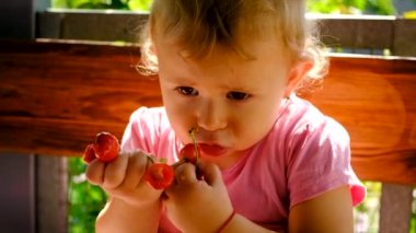 Çocuk bahçede kiraz yiyor. Seçici odaklanma. yiyecek.