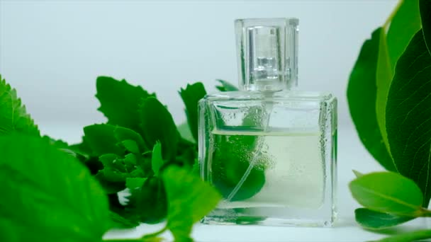 Perfume Com Extratos Ervas Foco Seletivo Natureza — Vídeo de Stock