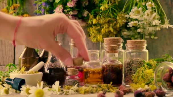 Gebottelde Kruidentinctuur Homeopathie Selectieve Focus Natuur — Stockvideo