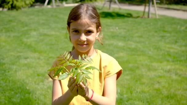 Tree Children Protect Nature Love Selective Focus Kid — Αρχείο Βίντεο