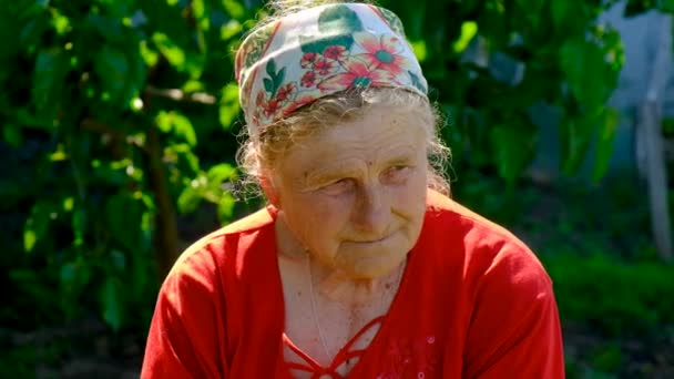 Old Woman Portrait Looks Selective Focus Nature — Stock Video