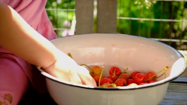 Çocuk Bahçede Kiraz Yiyor Seçici Odaklanma Yiyecek — Stok video