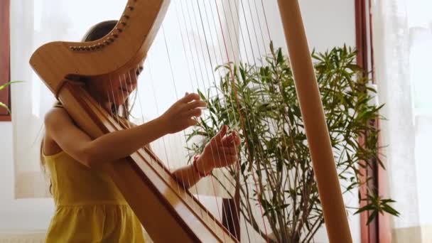 Child Plays Harp Selective Focus Kid — Wideo stockowe