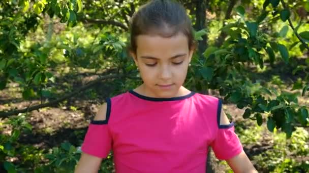 Auf Den Kinderhänden Ist Die Ukrainische Flagge Gezeichnet Selektiver Fokus — Stockvideo