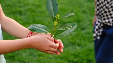 Tree children protect nature with love. Selective focus. Kid.