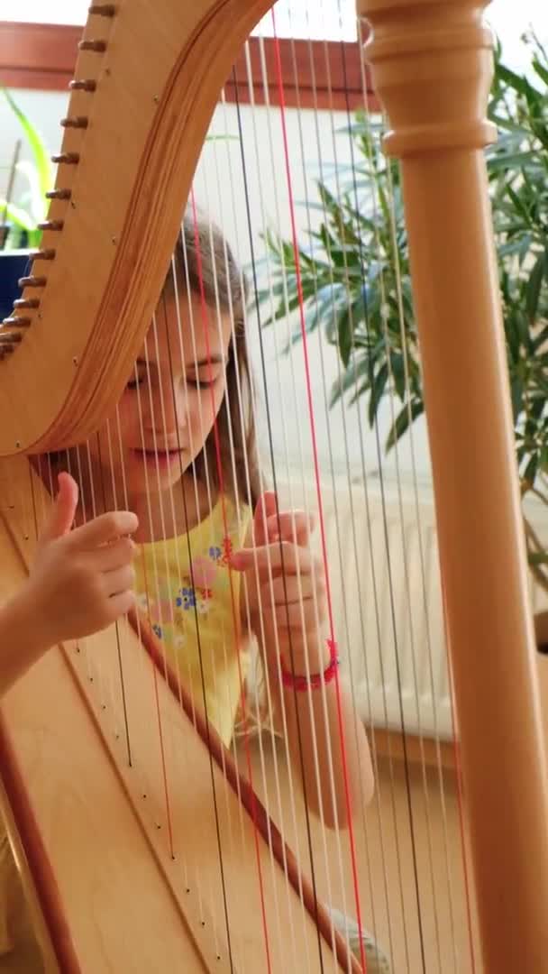Enfant Joue Harpe Concentration Sélective Enfant — Video