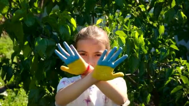 Ukraińska Flaga Jest Narysowana Rękach Dziecka Wybiórcze Skupienie Lato — Wideo stockowe