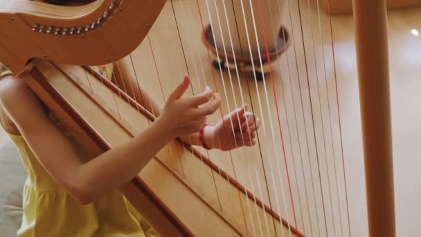 Criança Toca Harpa Foco Seletivo Miúdo — Vídeo de Stock