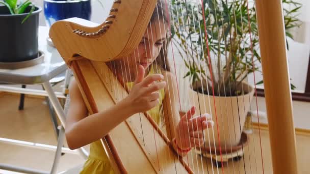 Criança Toca Harpa Foco Seletivo Miúdo — Vídeo de Stock