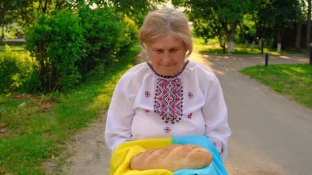 Γιαγιά Ουκρανικό Ψωμί Στα Χέρια Της Επιλεκτική Εστίαση Τρόφιμα — Αρχείο Βίντεο