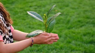 Tree children protect nature with love. Selective focus. Kid.